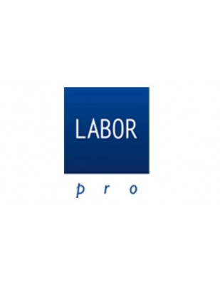 logo Labor Pro srl